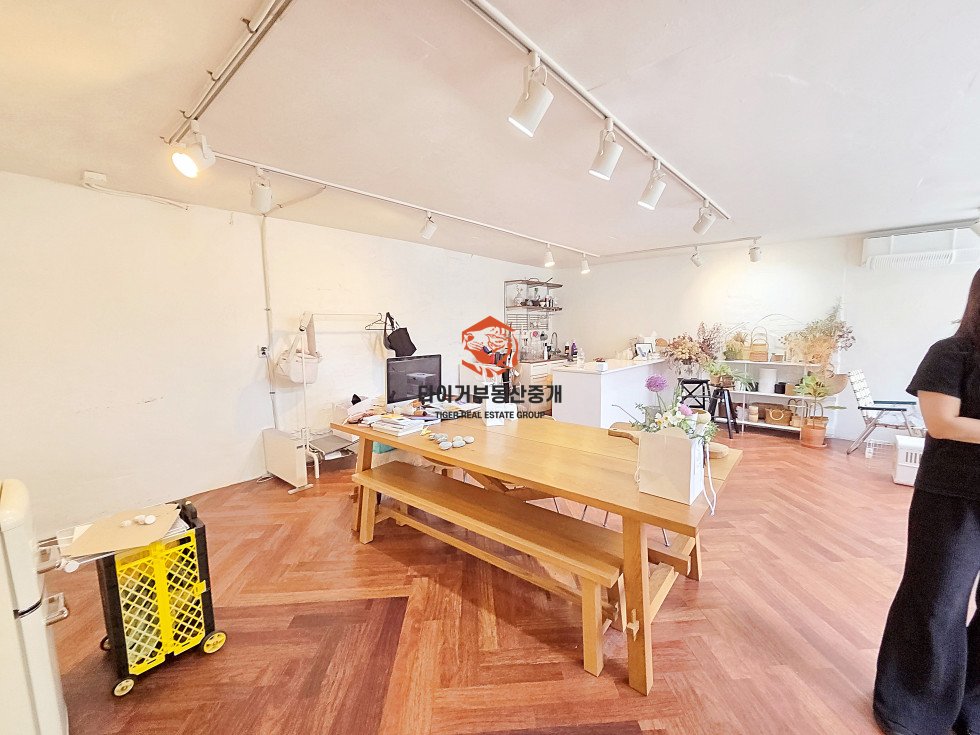 사진 5