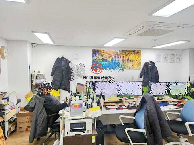 사진 3