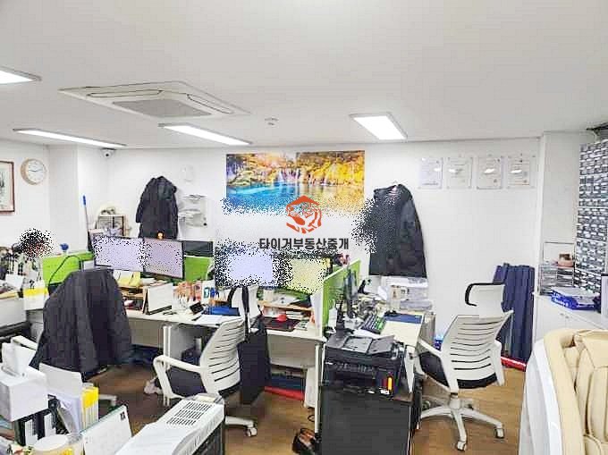 사진 5