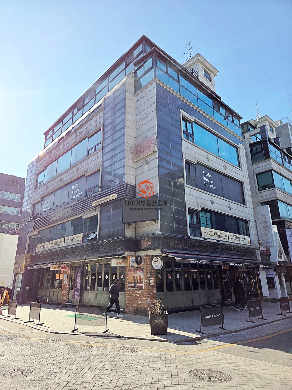 사진 13