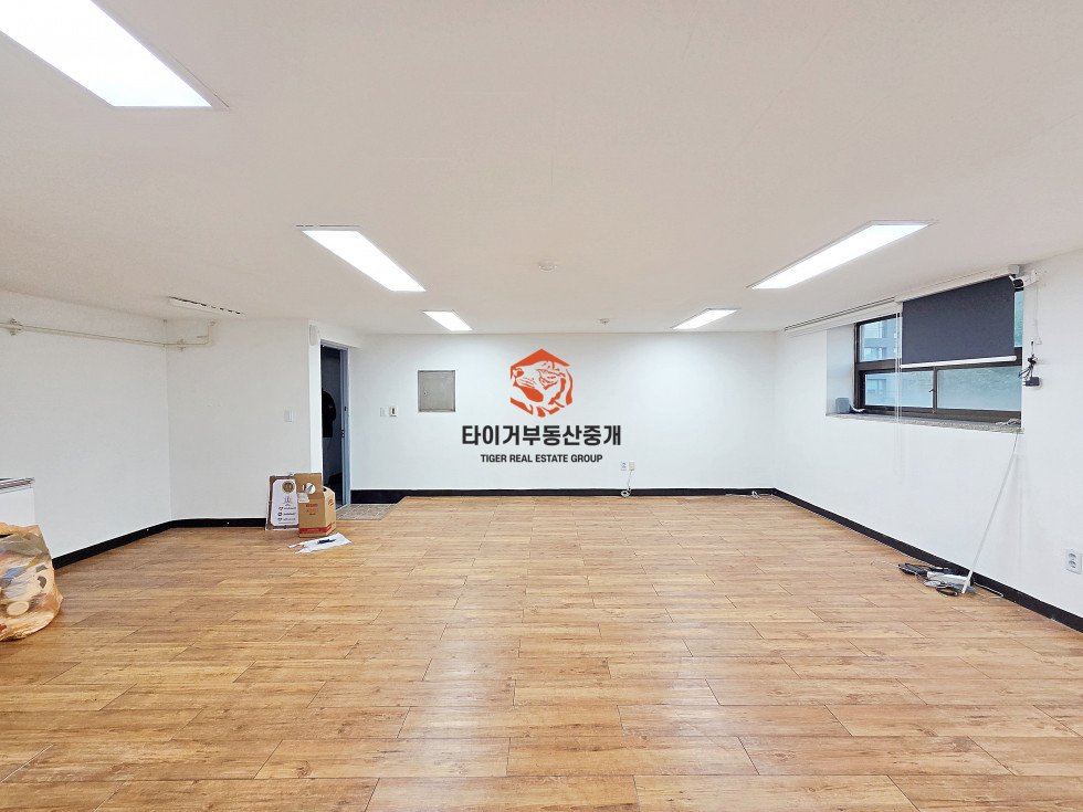사진 5