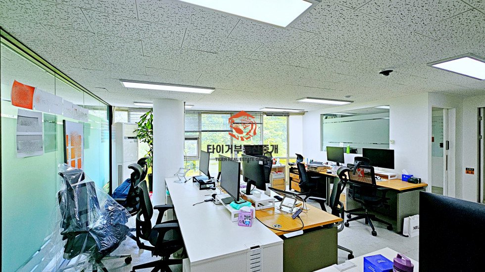 삼성동