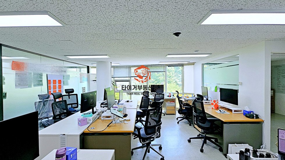 사진 5