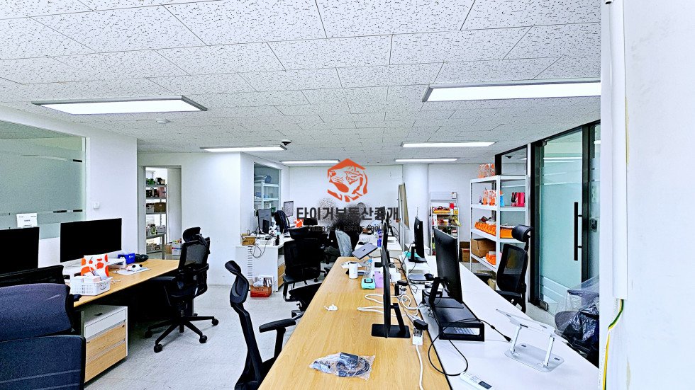 사진 6