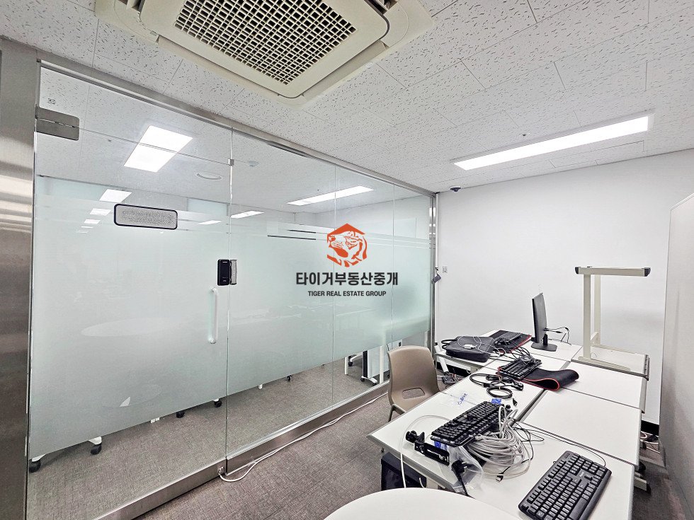사진 6