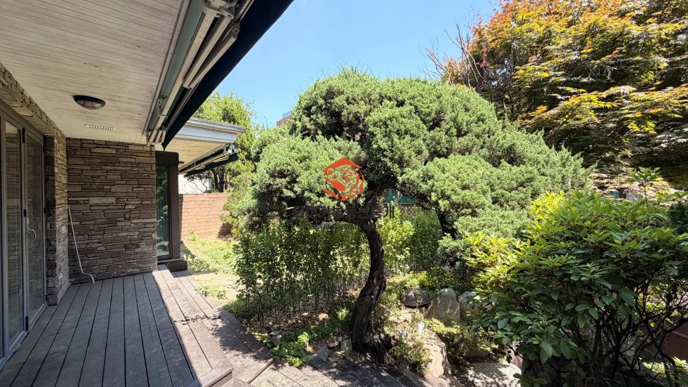 사진 4