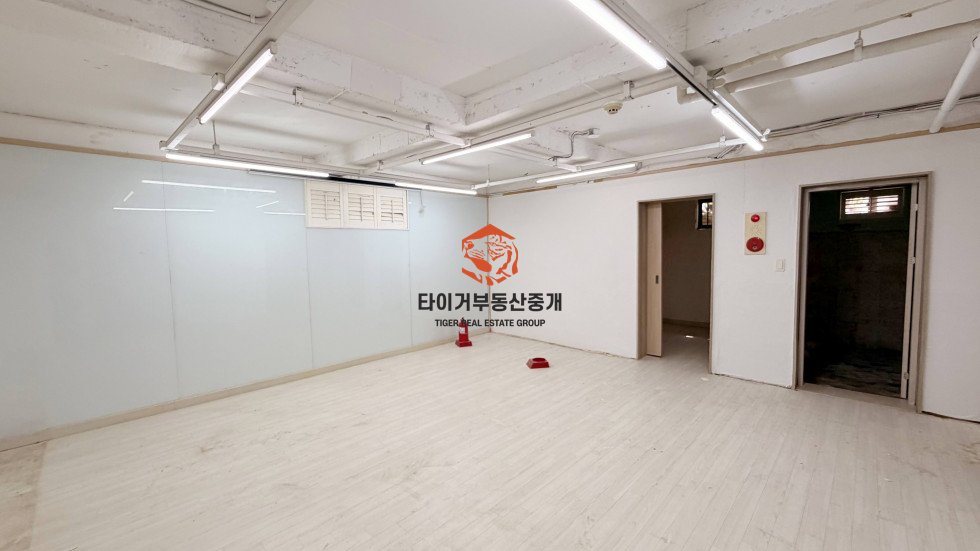 사진 12