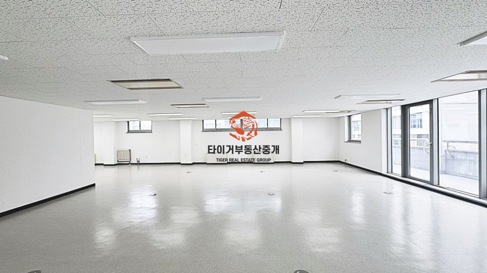 사진 6