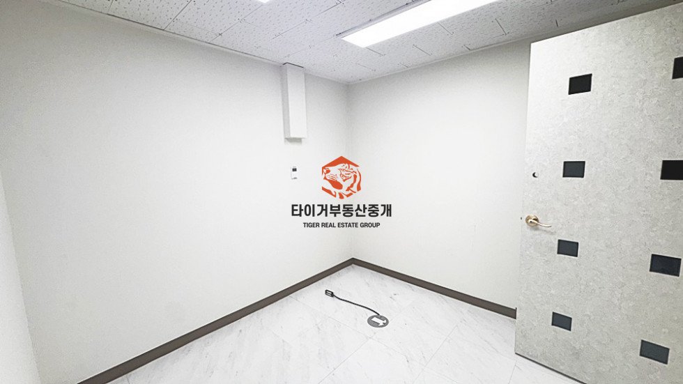 사진 12
