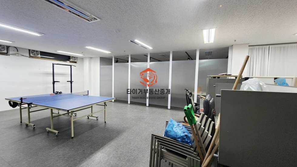 사진 5