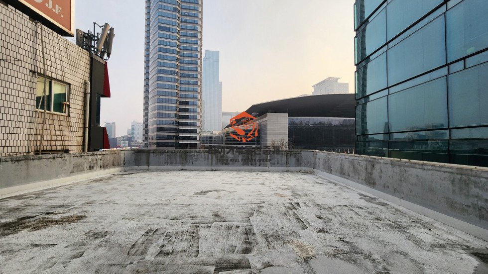 사진 12