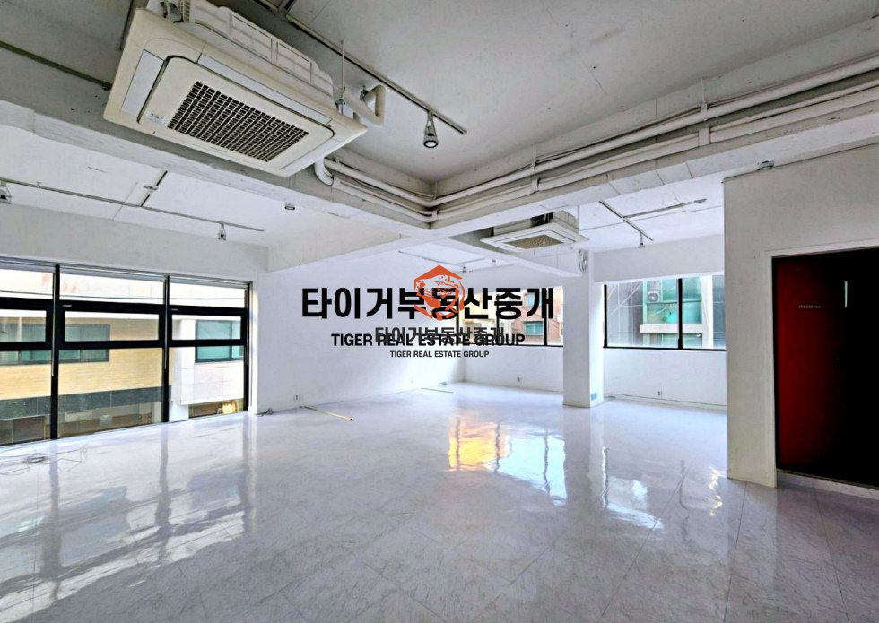 사진 9