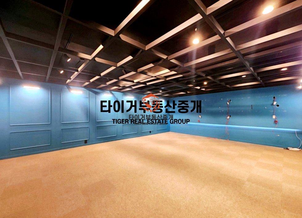 사진 11
