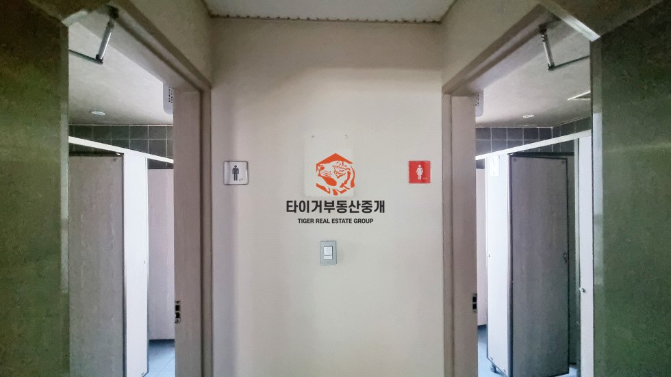 사진 12