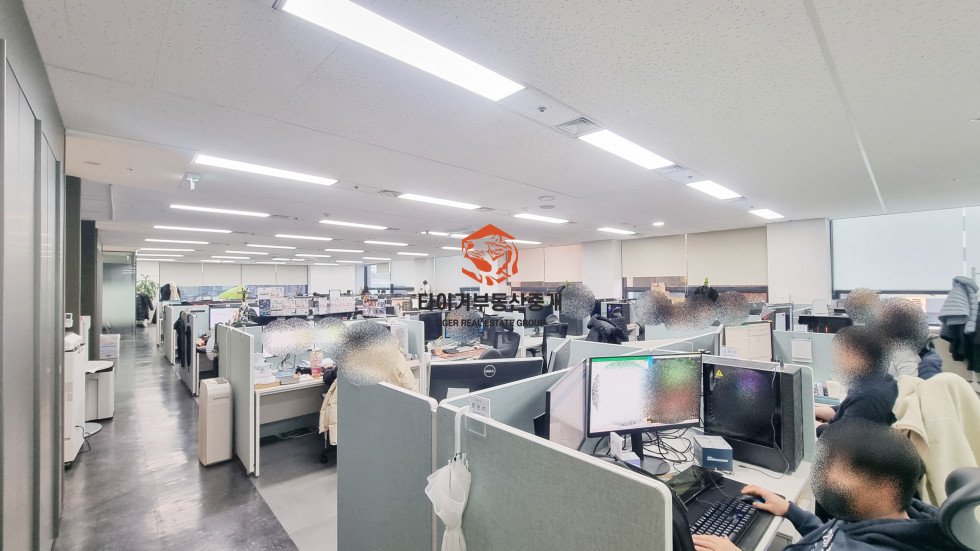 사진 5