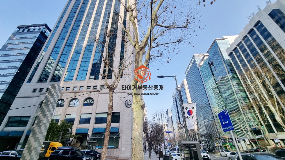 사진 9