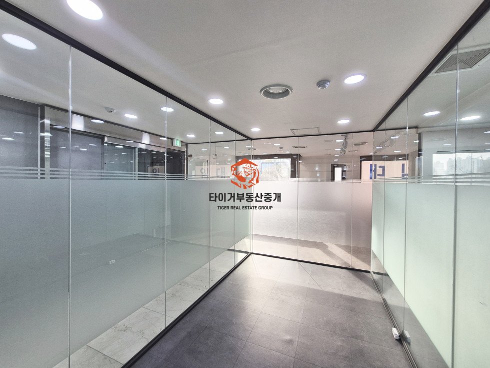 사진 5