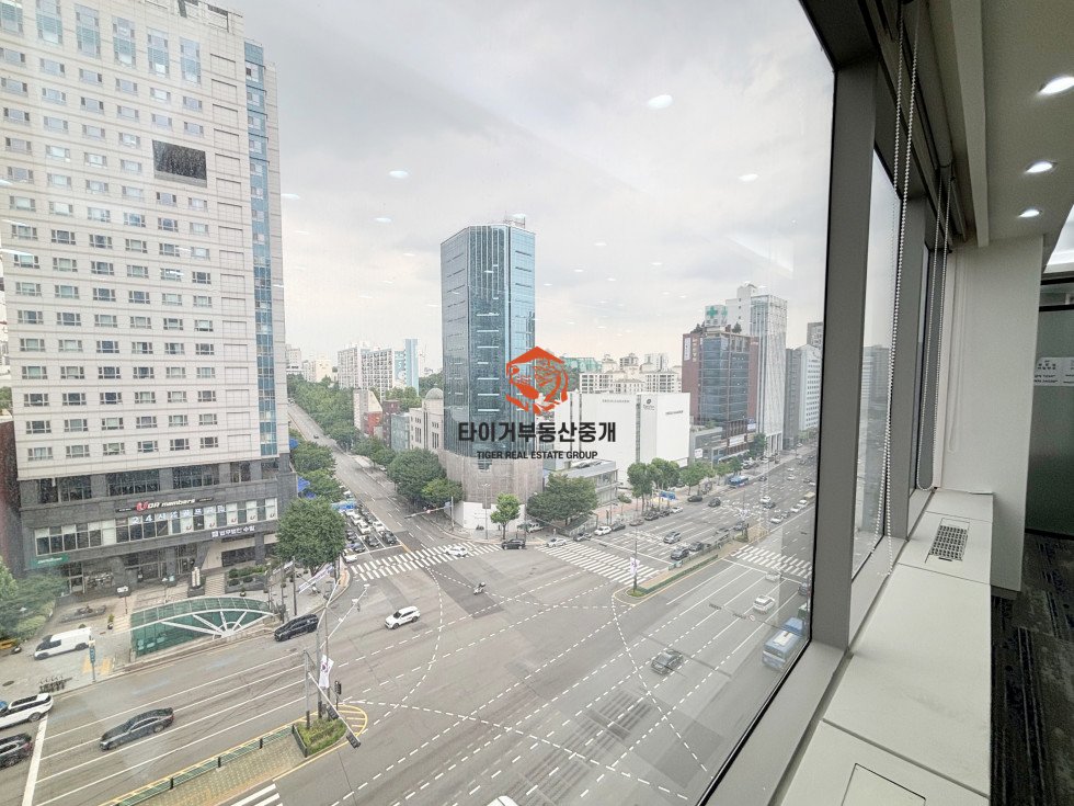 사진 10