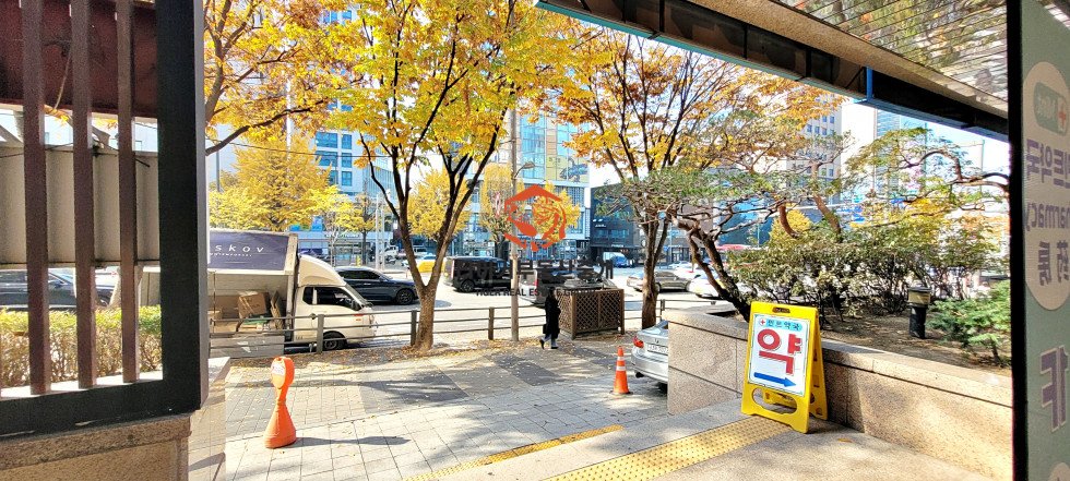 사진 8