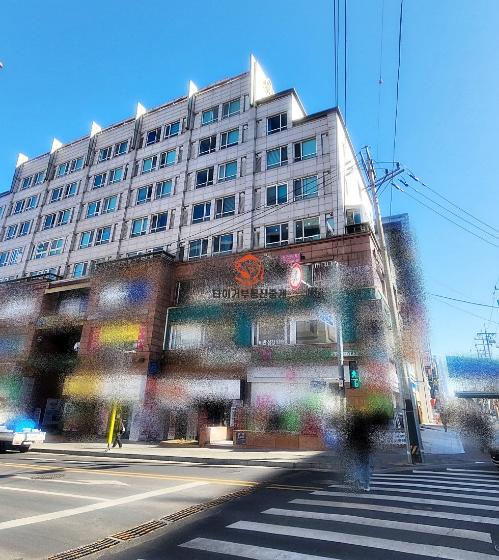 사진 8