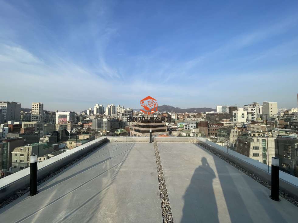 사진 2