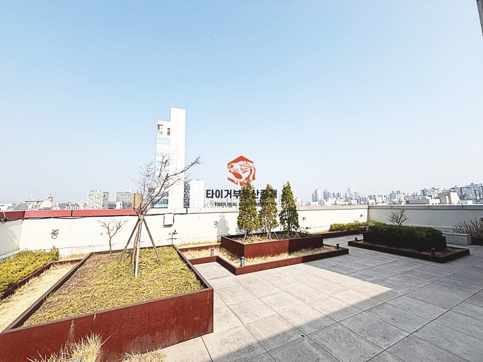 사진 8