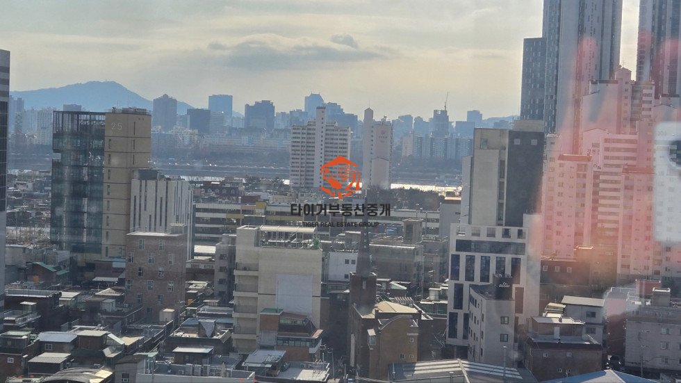 사진 4