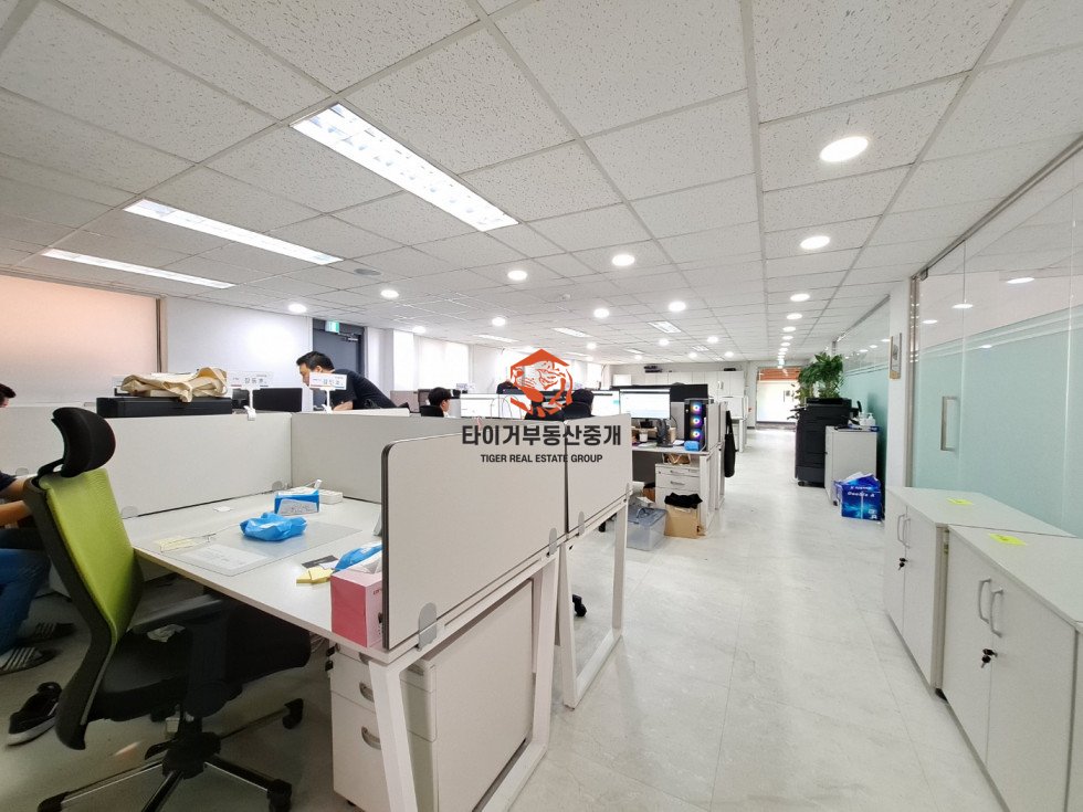 사진 5