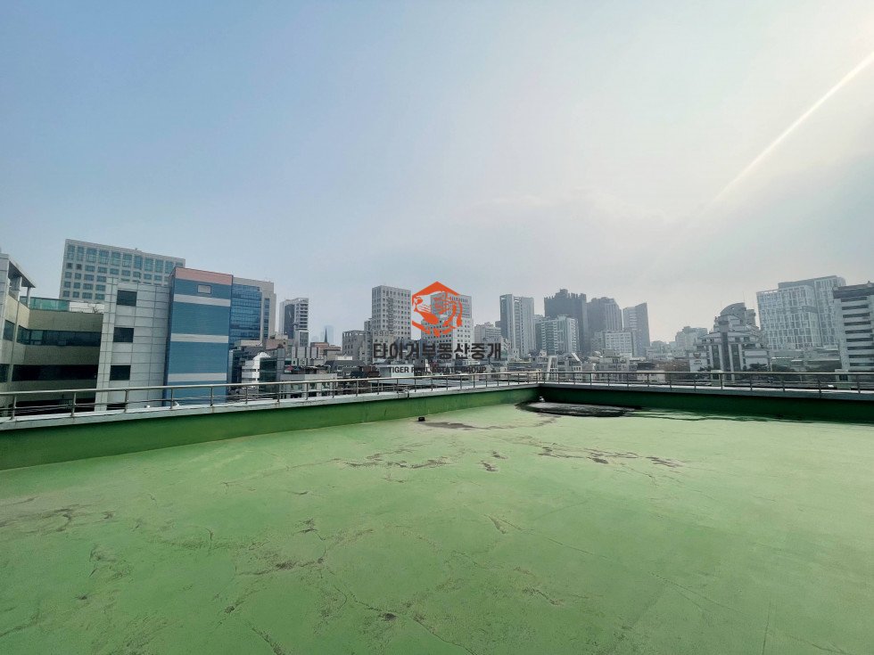 사진 11