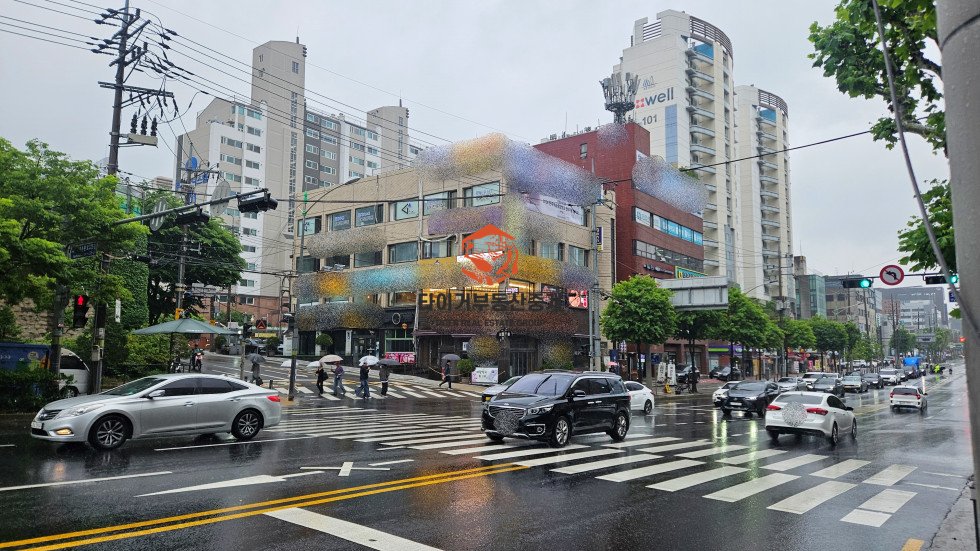 사진 3