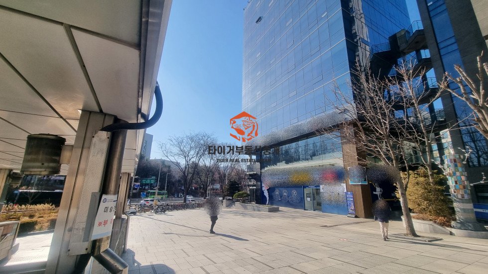 사진 10