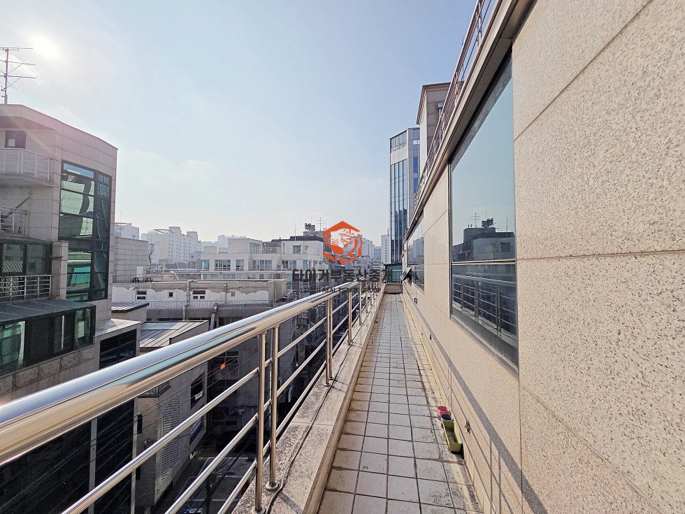 사진 9