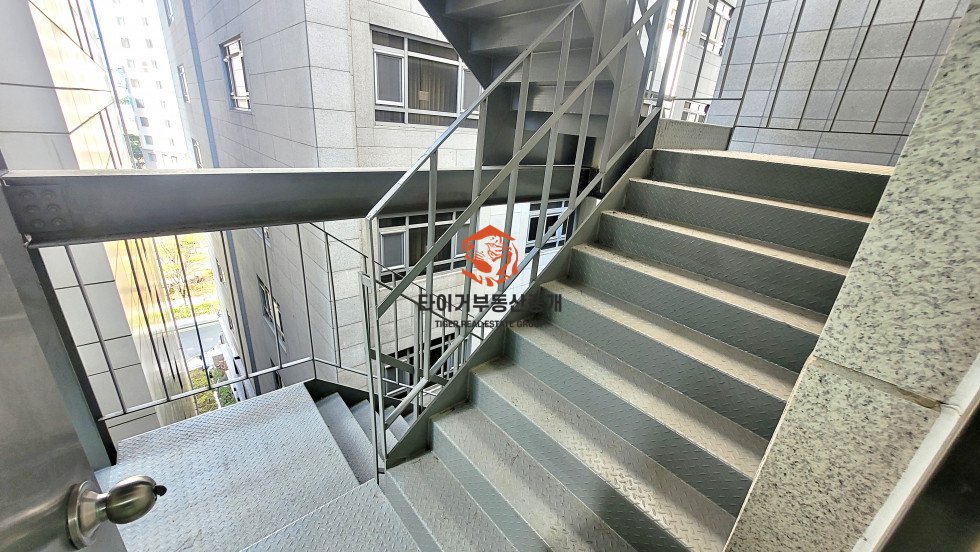 사진 6