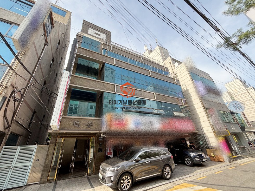 사진 15