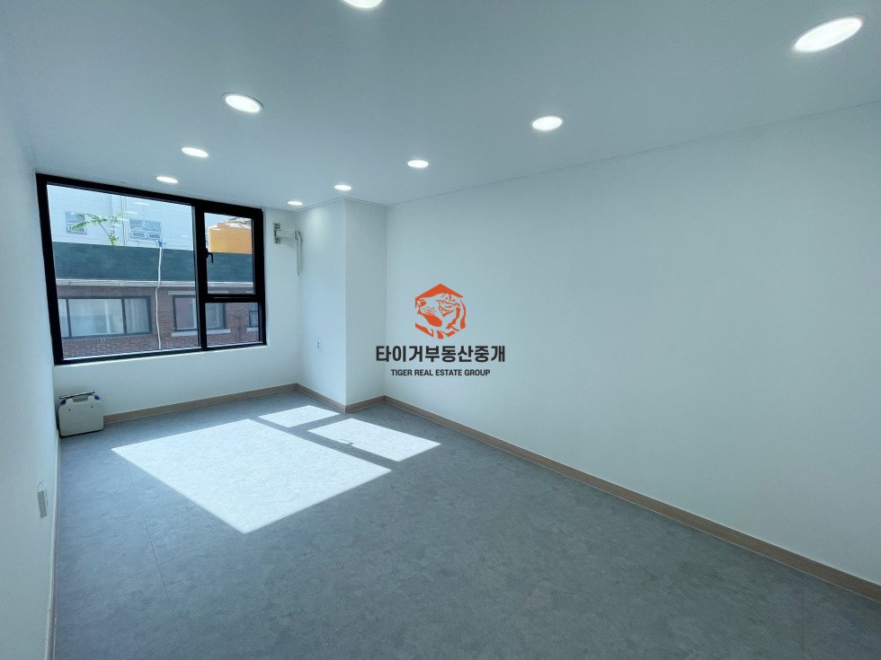 사진 6