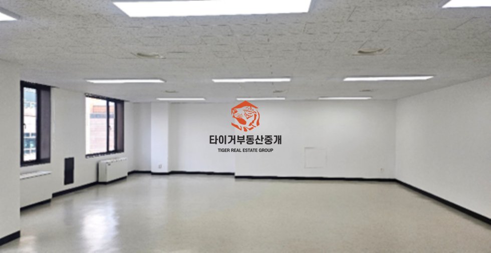 사진 3