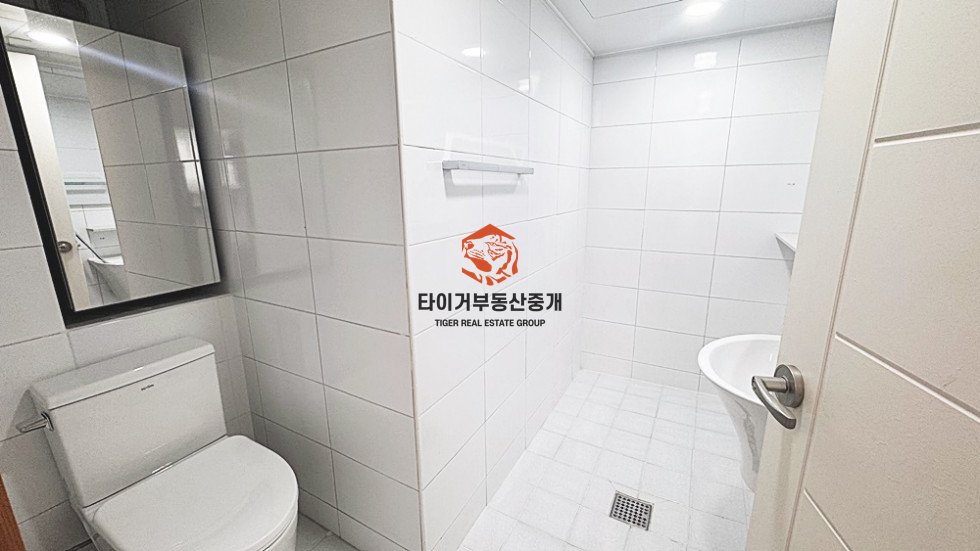 사진 3