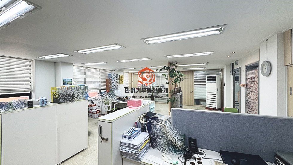 사진 6