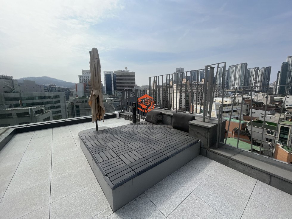 사진 7