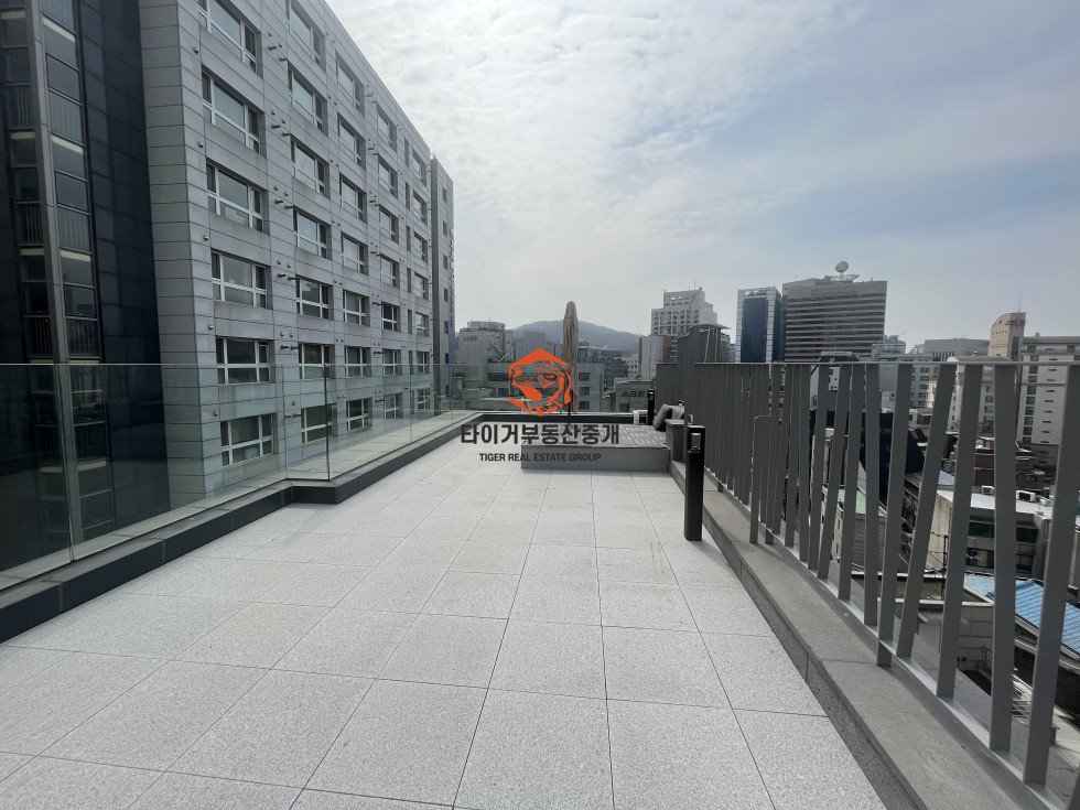 사진 13