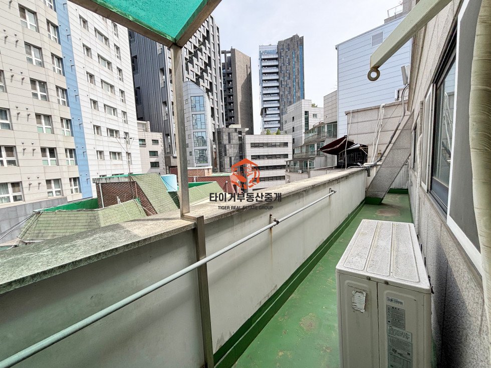 사진 10