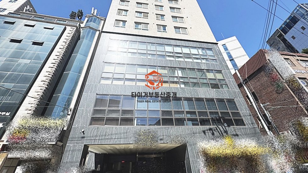 사진 9