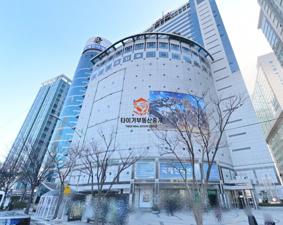 사진 11