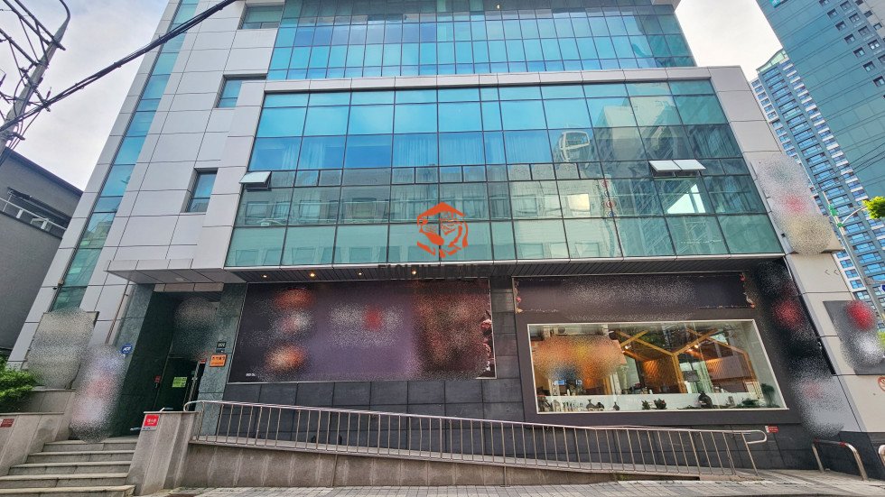 사진 12