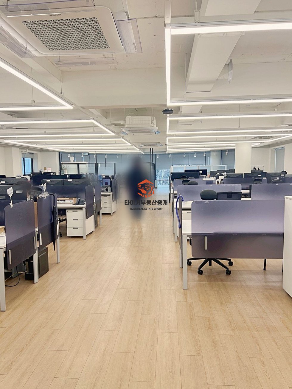 사진 5