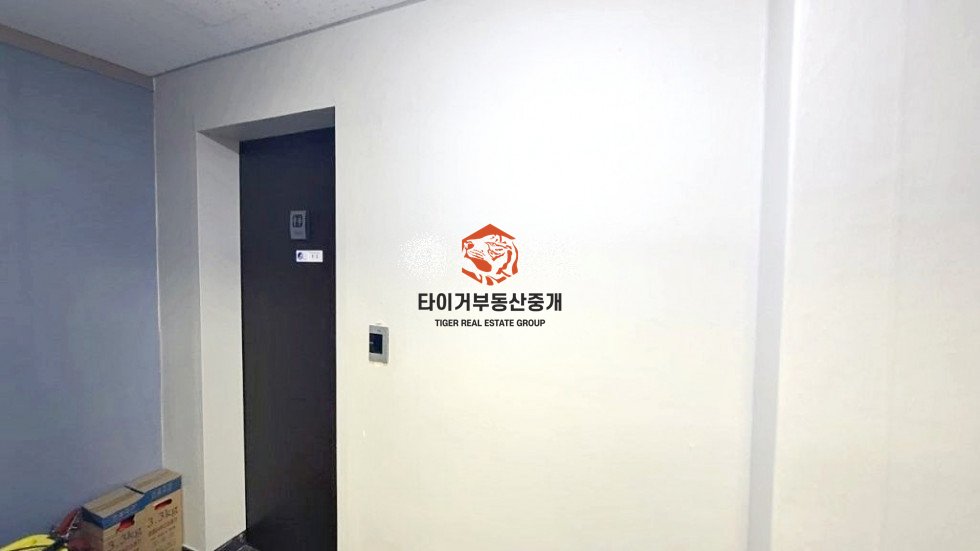 사진 9