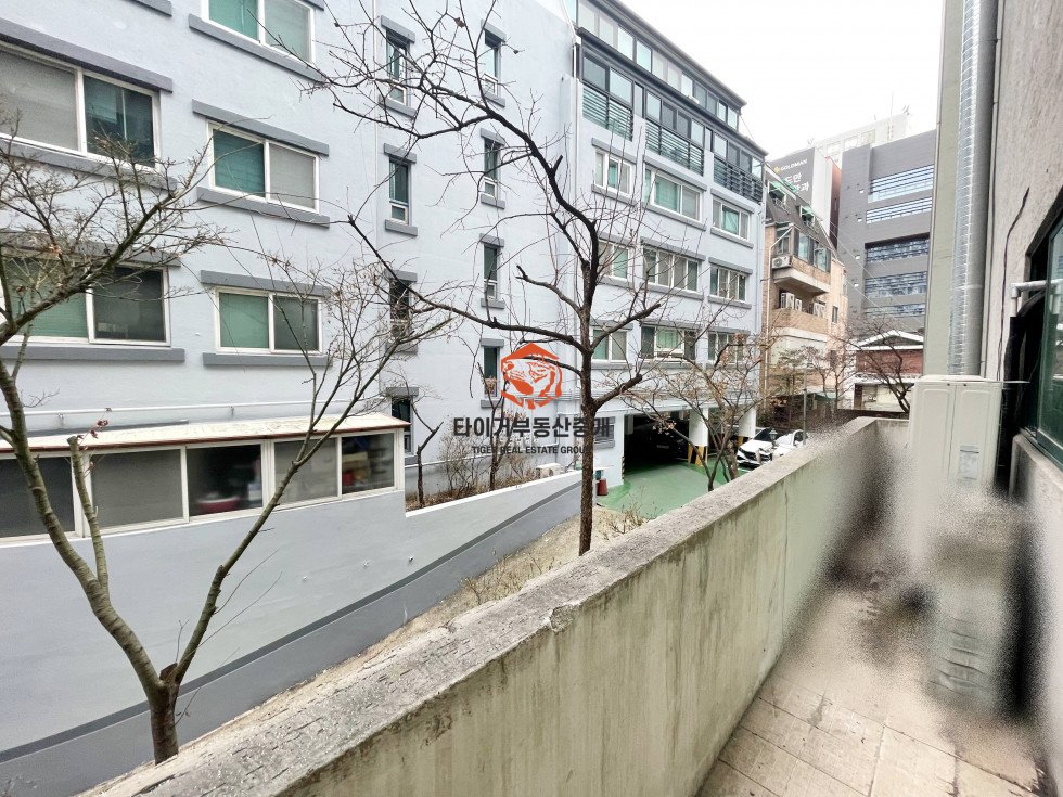 사진 12