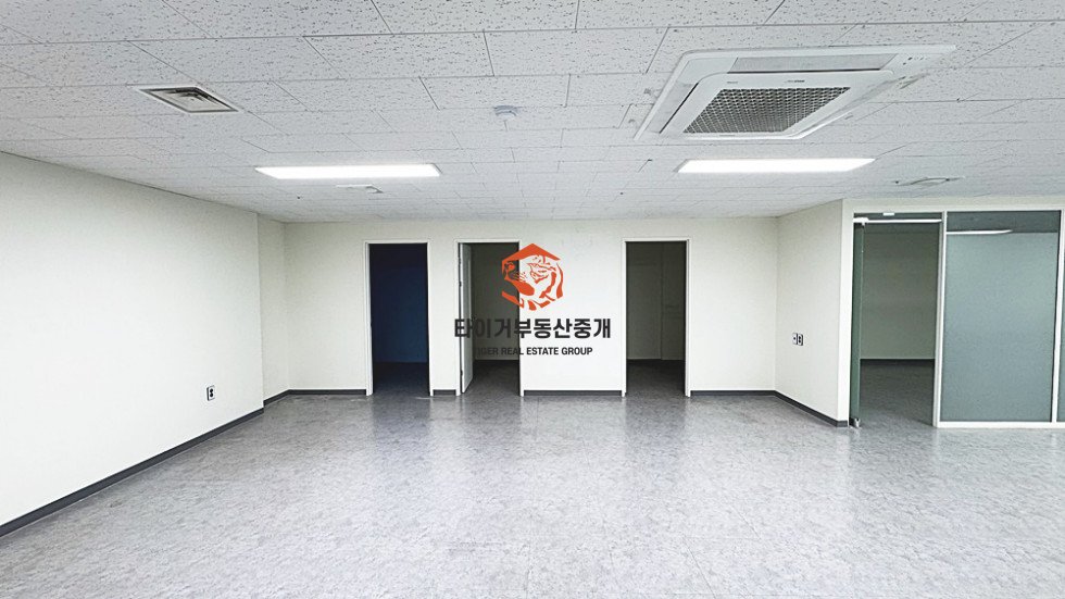 사진 5