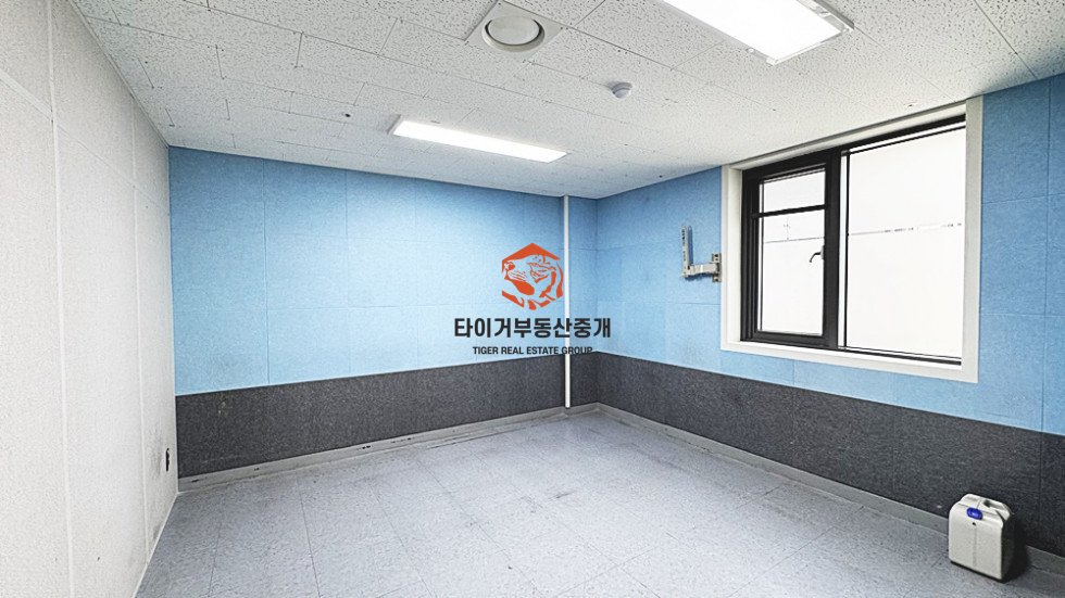 사진 8