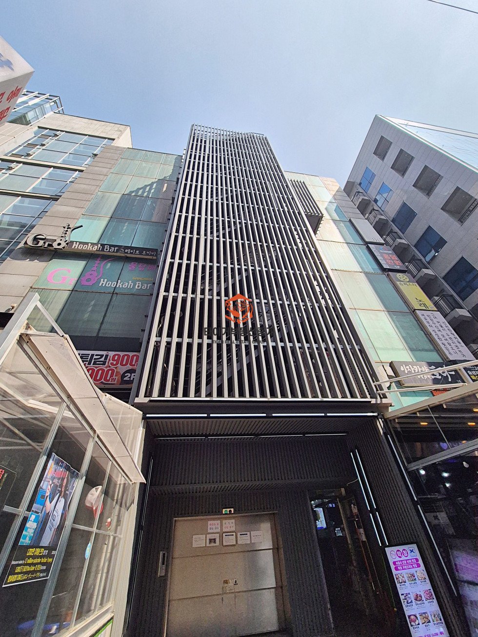 사진 15